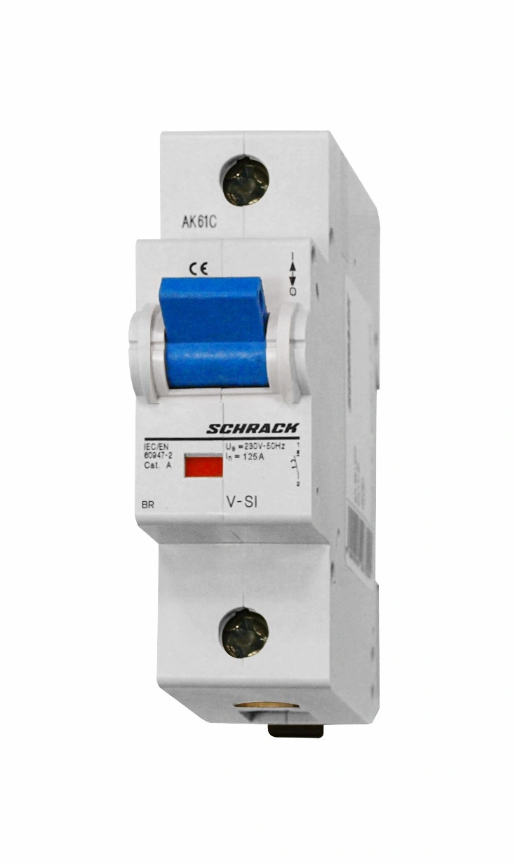 Intreruptor automat C 125A, 1 p, 10kA