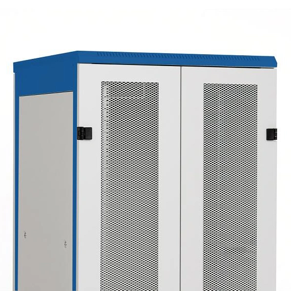 Uşă metal dubla perforata 80% DS/DSZ/DSS(IP30) 42U, 800mm