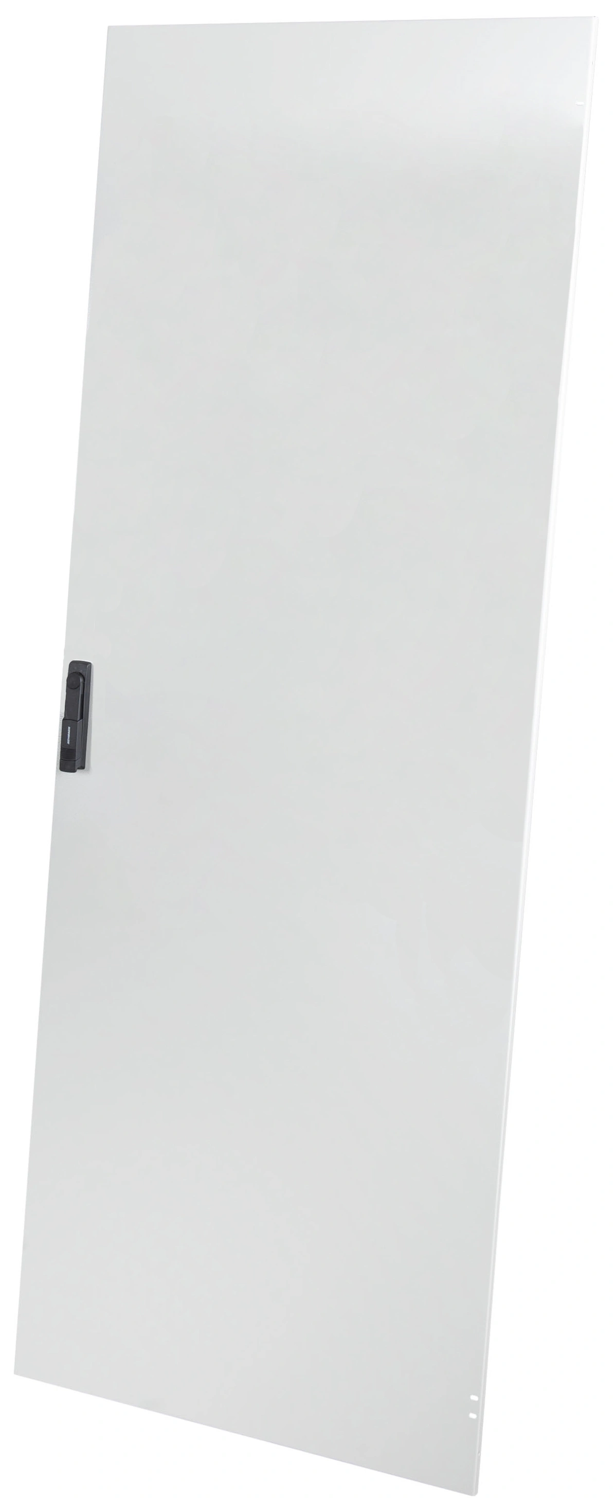 Ușă metal pentru DT (IP20) 42U, W=800, RAL7035