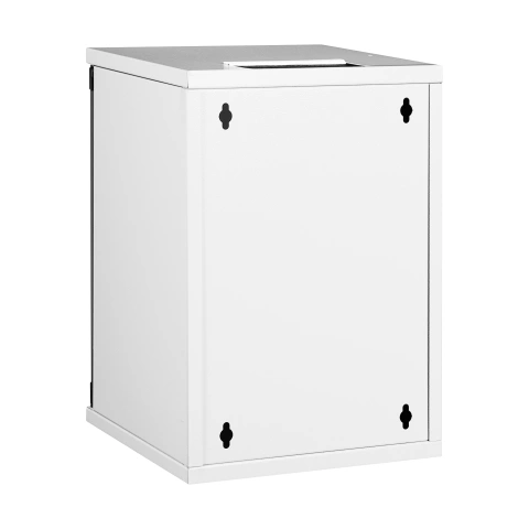 Dulap de perete DT, 9U H=463 x W=312 x D=300, 10"_2