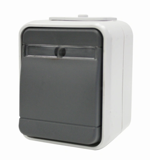 Buton cu revenire cu bec IP44, gri/gri