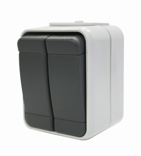 Buton dublu cu revenire IP44, gri/gri