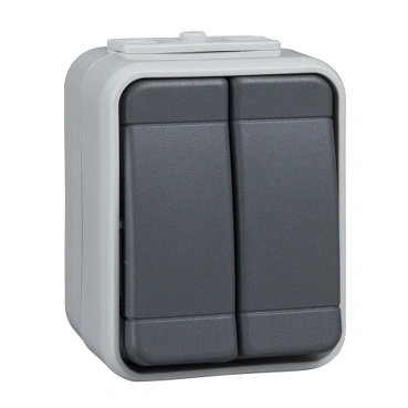 Buton cu revenire PT, 2 circuite, gri/gri