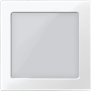 Central plate with window for LED signal inserts