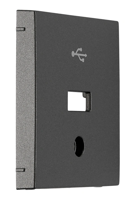 Mască pentru priză USB, antracit_2