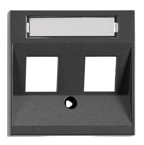 Mască 2*RJ45 ToollessLine, antracit