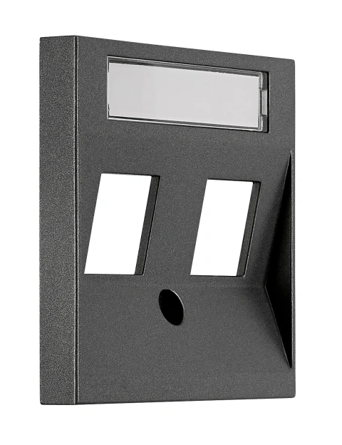 Mască 2*RJ45 ToollessLine, antracit_2