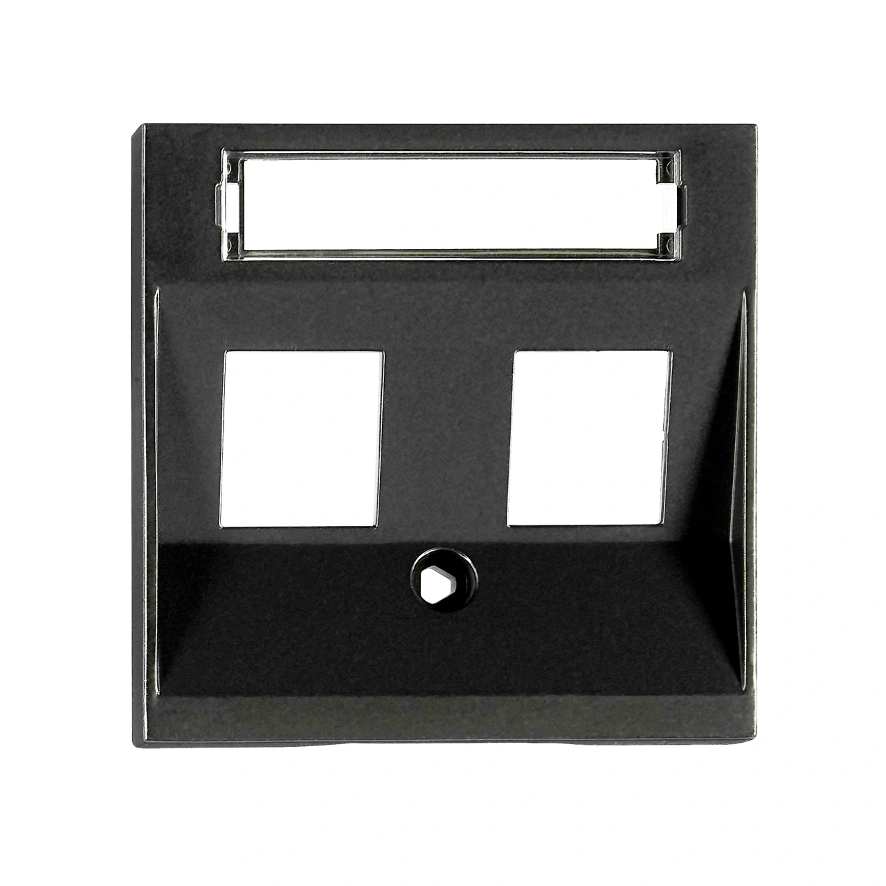 Cover for 2*RJ45 Toolless Line jacks, black