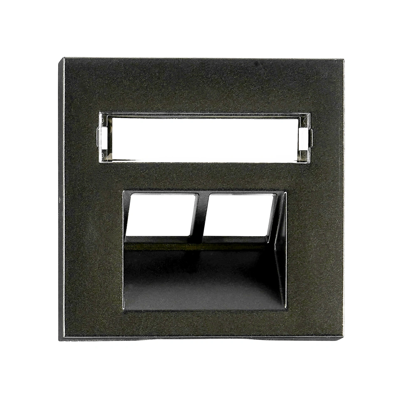 Cover for RJ45 UAE outlet, labelling window, 2-Port, black