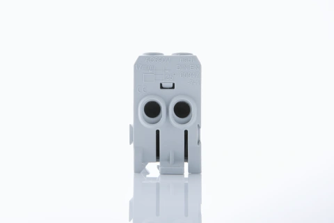 Main branch terminal, 1-pole,100A, in. 2x25mm², out.6x10mm²_1