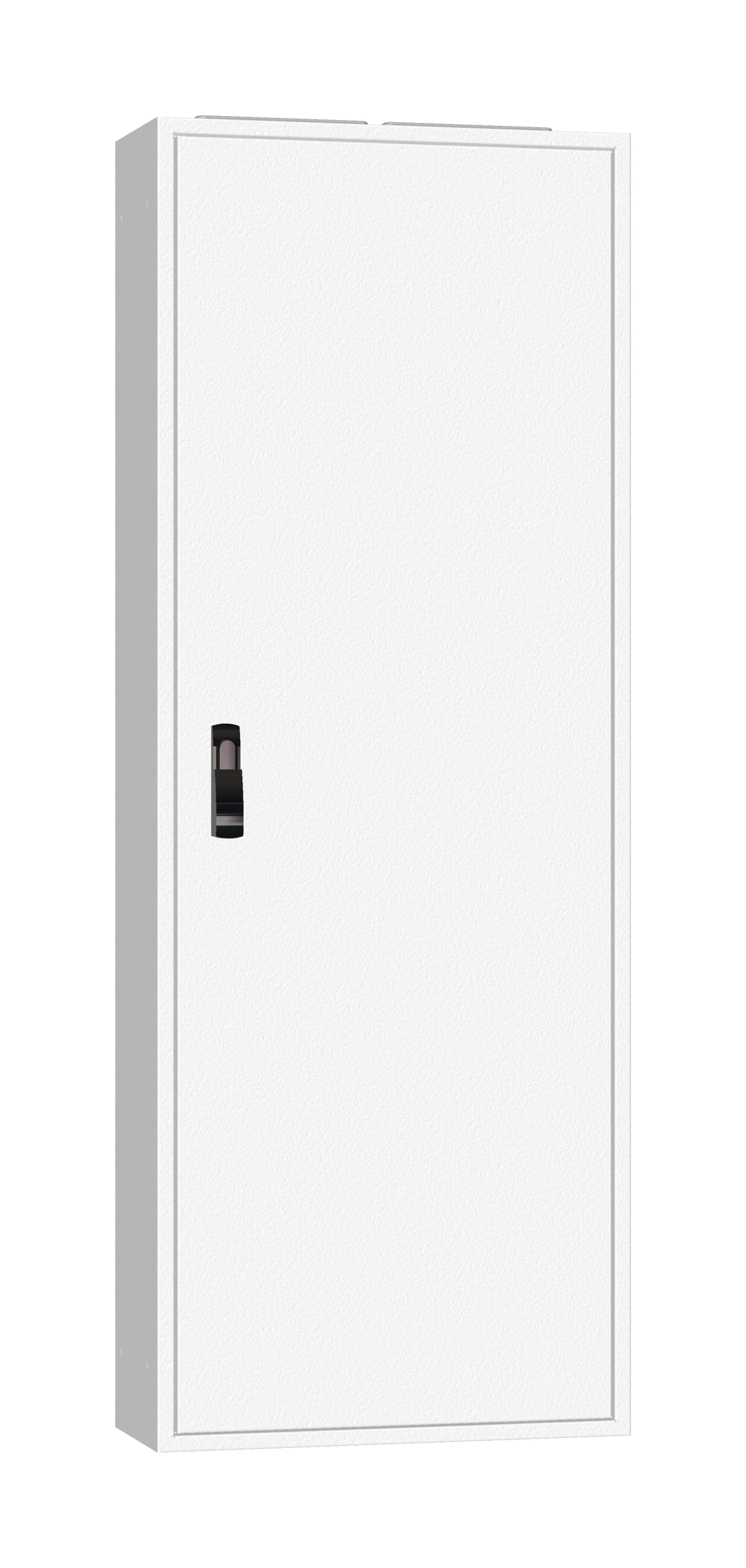 Ramă aplicată+uşă 2A-33, A=250mm+placă sp.+mâner rot. IP54