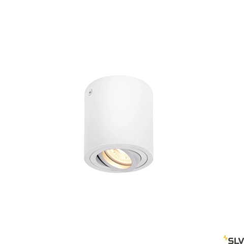 TRILEDO CL, indoor ceiling light, QPAR51, white, max 10W
