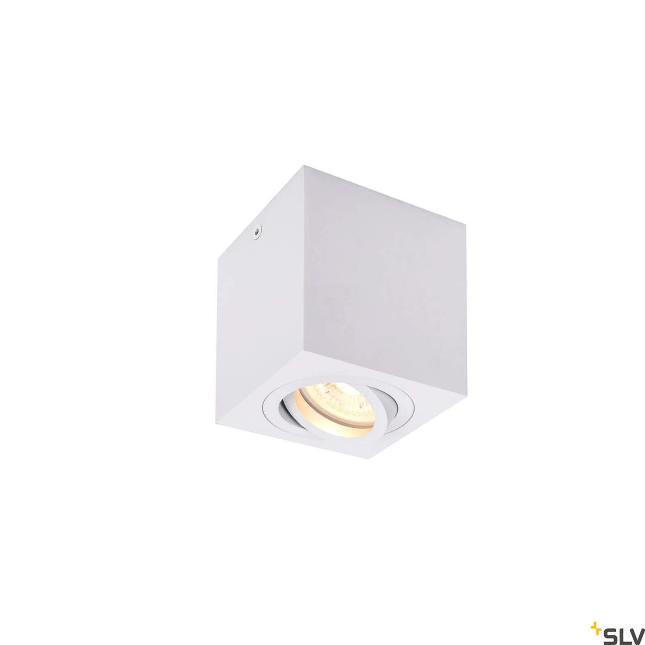 TRILEDO Single, indoor ceiling light, QPAR51, white, max 10W