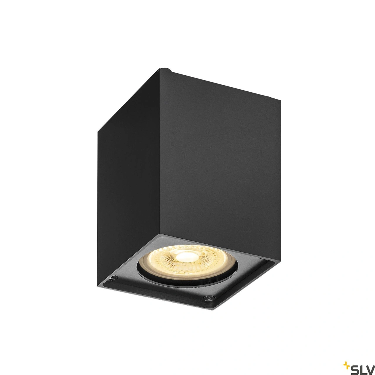 ALTRA DICE CL, Indoor wall and ceiling light, QPAR51,black
