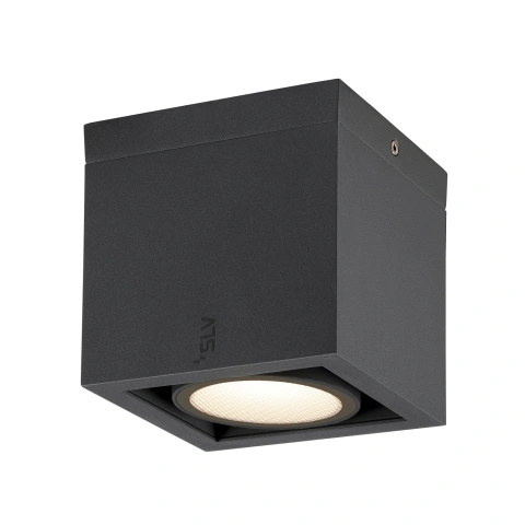 ESKINA FRAME CL single 15W,1100/1200lm,830/840,95°,IP65,anth