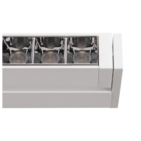 IN-LINE 46 48V DALI white 14W 1250lm 4000K CRI90 35°_5