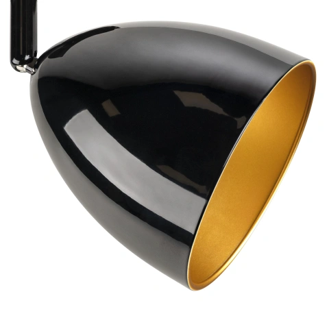 PARA CONE 14, 3 Phasen System Leuchte, GU10, black/gold_2