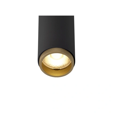 GRIP! S 48V  2000-3000K 9.8W DALI  29° black / gold_5