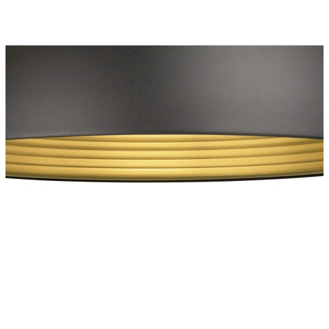 FORCHINI M 50  E27  max. 1x 40W matt black / matt gold_2