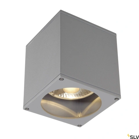 Plafonieră BIG THEO CEILING OUT, ES111, gri arg, max.75W