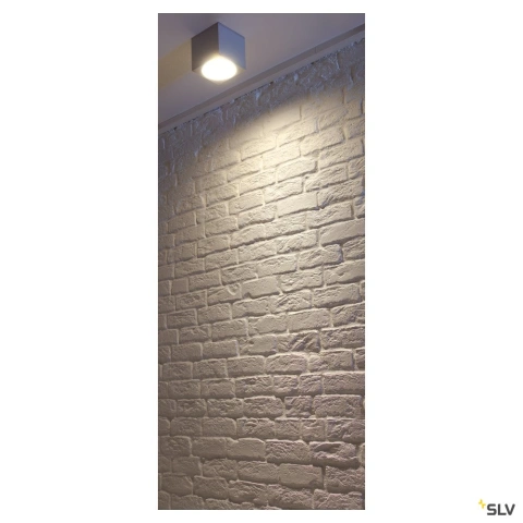Plafonieră BIG THEO CEILING OUT, ES111, gri arg, max.75W_1