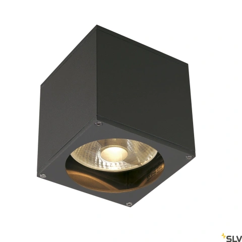 BIG THEO WALL OUT de perete, ES111, max. 75W, anthracit