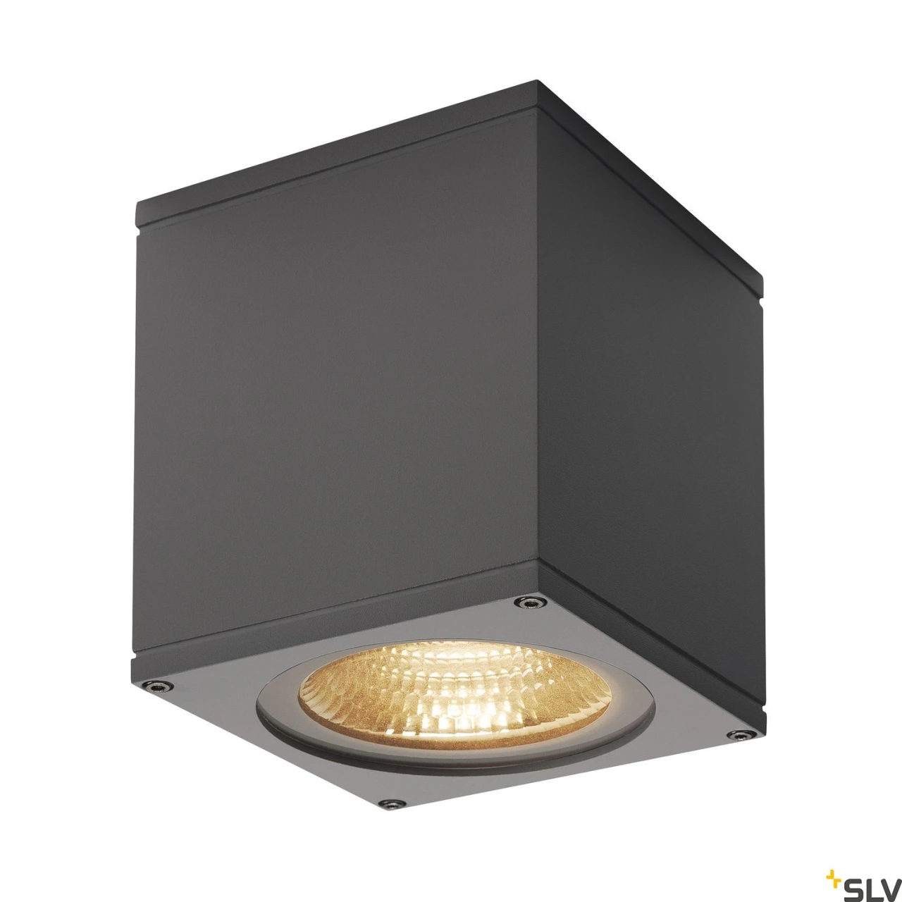 BIG THEO CEILING, de exterior de tavan, LED, anthracit