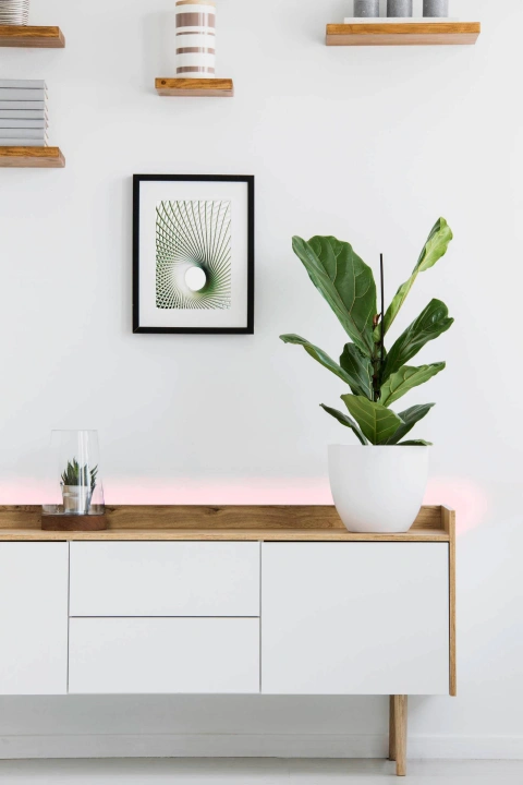 STRIPE-C 14,4W LED-BLUETOOTH®-STRIPE RGB+TW L-3000mm_1