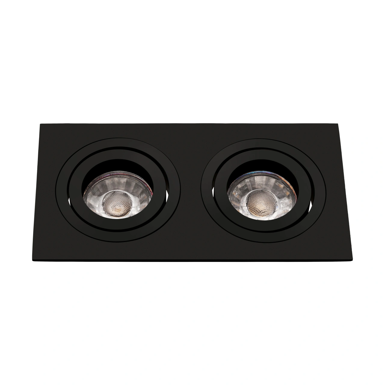 Terni Pro square / 2-fach / swivelling 50W black IP20