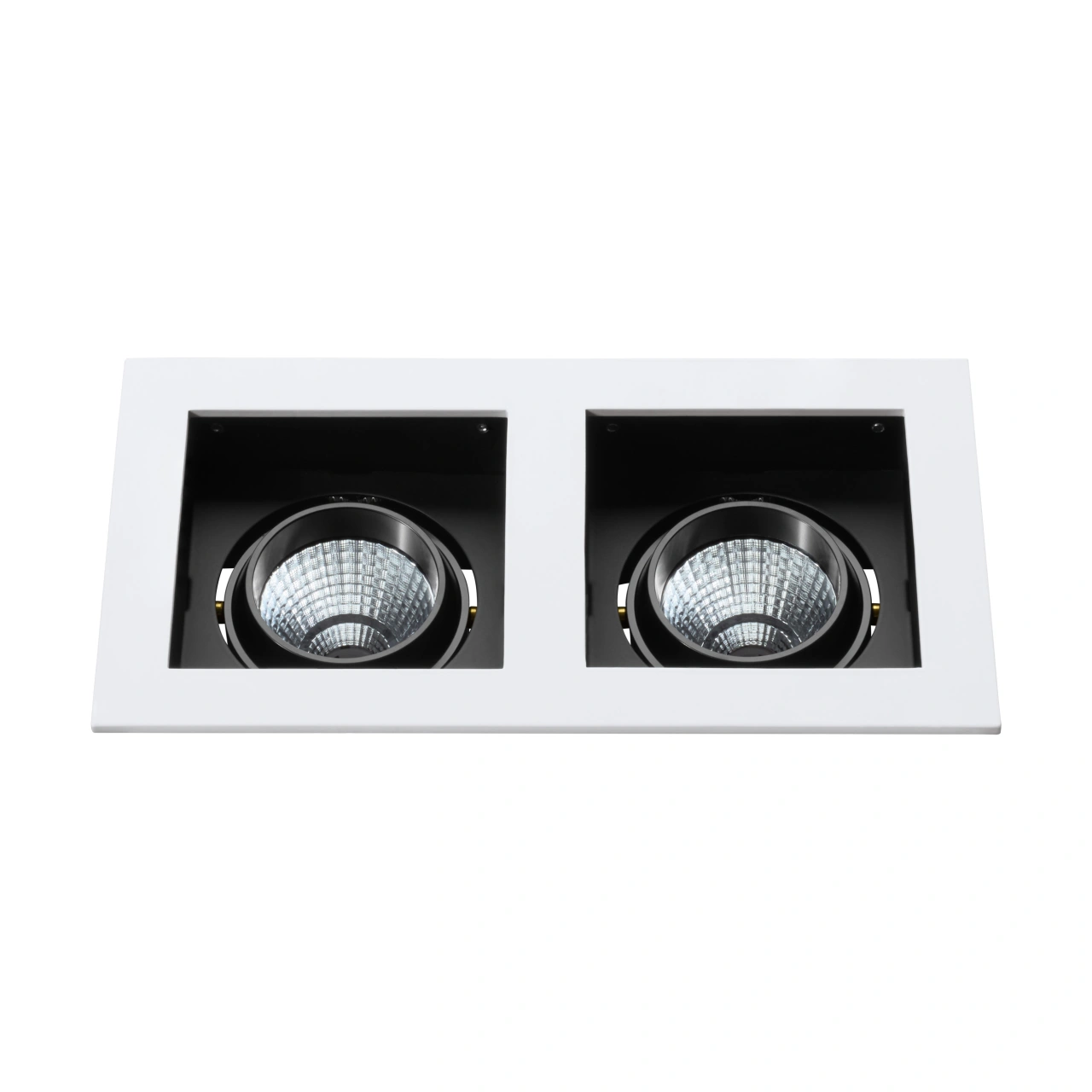 Biscari 2 swivelling IP20 2 x 7W 2700K white IP20