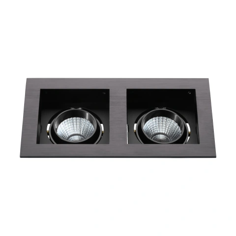 Biscari 2 swivelling 2 x 7W 2700K black IP20