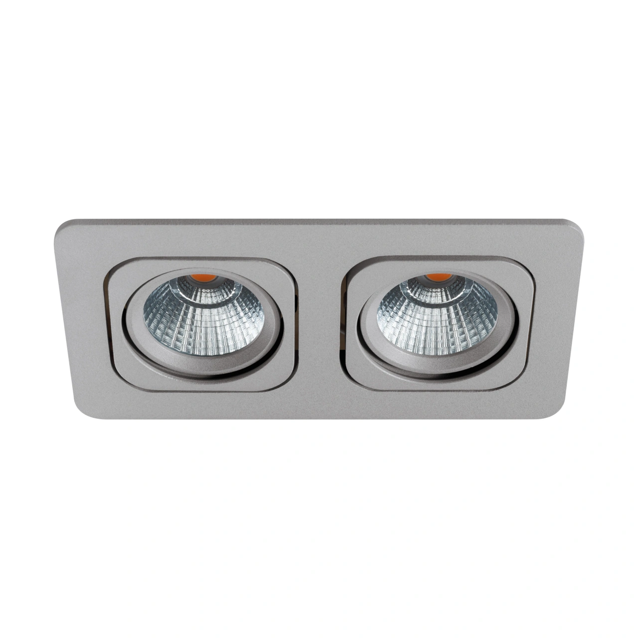 Vascello P2" swivelling 2 x 7W 3000K silver IP20