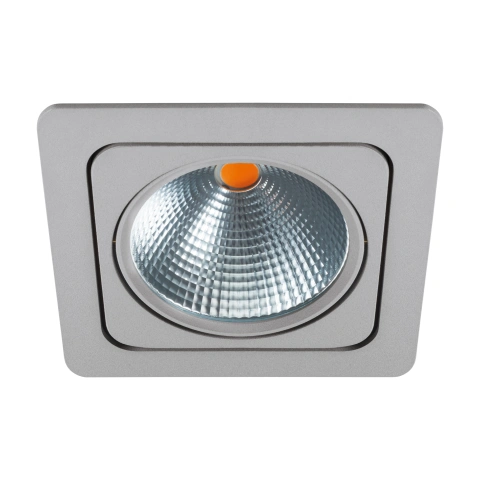 Vascello G1" swivelling 19W 2700K silver IP20