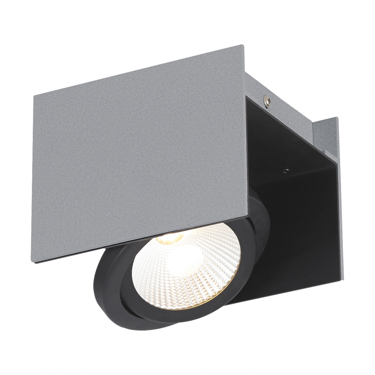 Vidago Pro / 1flg., DALI dimmable 9W 4000K silver IP20