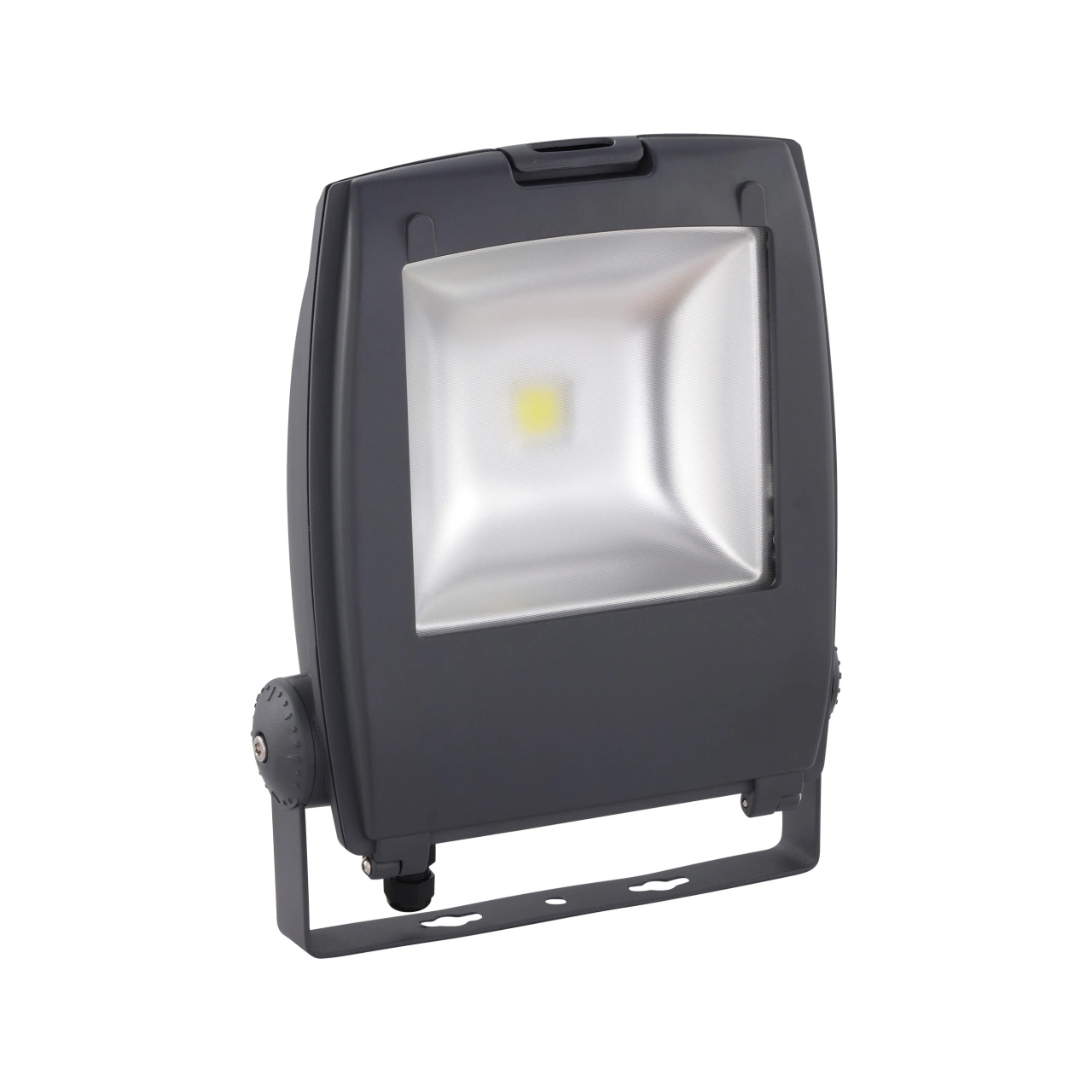 Floodlight Gambettola Pro 50W 6500K anthracite (RAL7016)