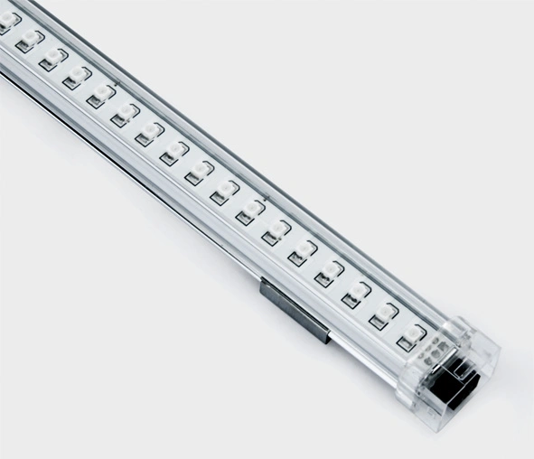 Lingo LED 3W 6000K 144lm, 24V, dimabil, IP20