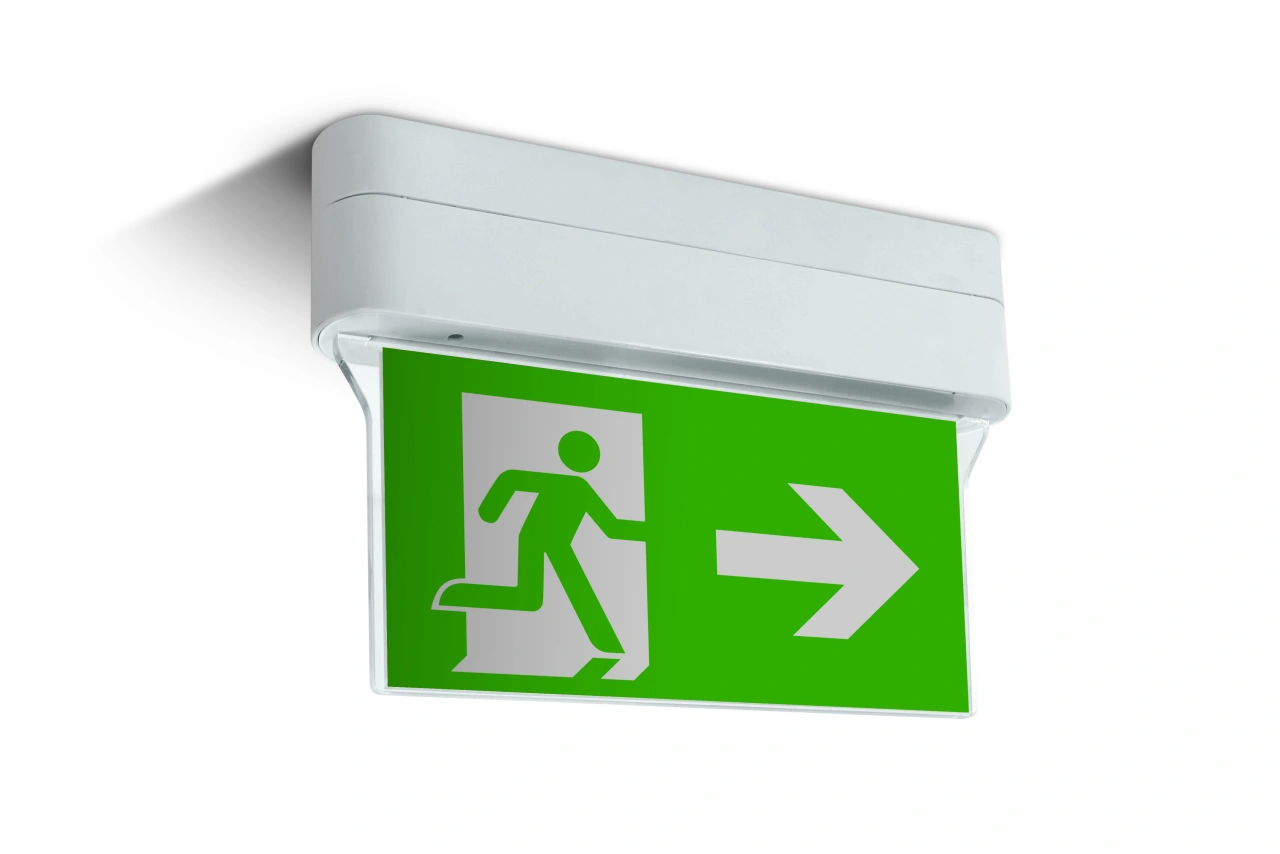 Theia LED 1W, 230V, 3 Hours Maintained, IP44, alb