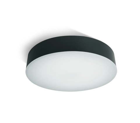 Daria II LED 21W, 4000K, 1300lm, IP65,antracit