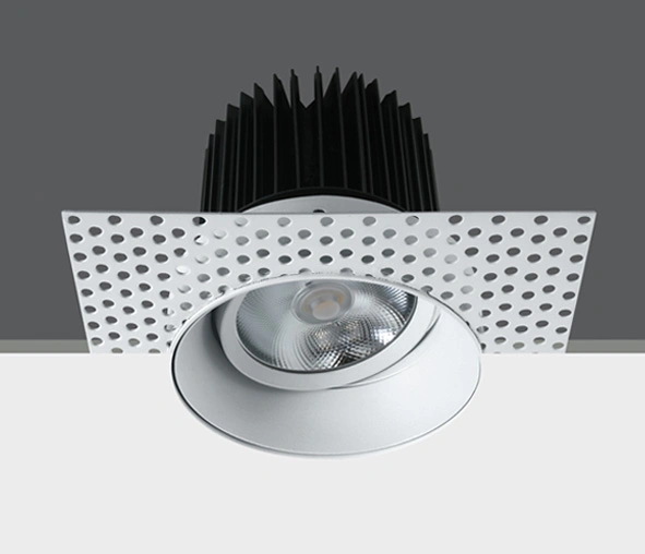 Zan LED 30W 700mA 2200lm 4000K 38° IP20 alb