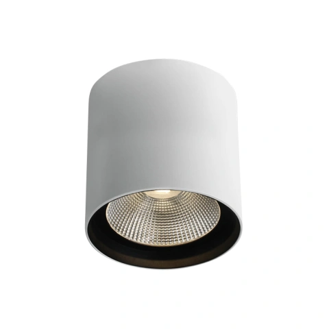 Delos L LED 40W 3200lm 3000K Ra90 220-240V IP65 alb