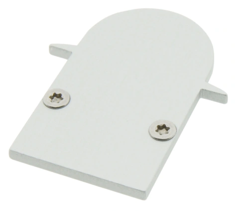 Profile end cap TBI round closed