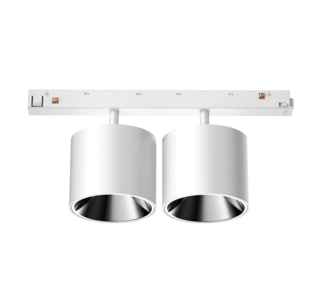 48V SPOT INSET DD 2x 10W LF927 DALI WHITE