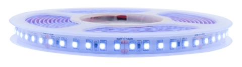 LED Flexstrip 48 Red IP43, 275lm/m, 10W/m L=5m,24VDC_1