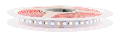 LED Strip 115 RGB-WW IP43,RA90+,885lm/m,12W/m L=5m, 24VDC_1