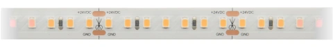 FS 95, CLW, Ra97, 21W/m, 1610lm/m, 24VDC, IP44, l=5m