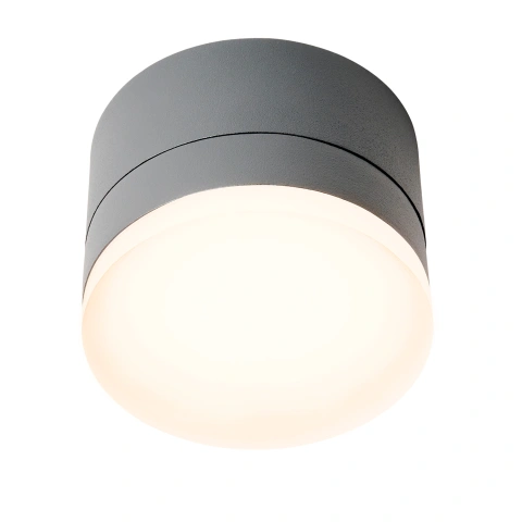 Zelda LED Round Large 12W 740lm 3000K ECG IP54 antracit