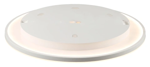 Elegance Disc 450 18W/24W/32W 3/4K CRI90 IP20 dimm white_4