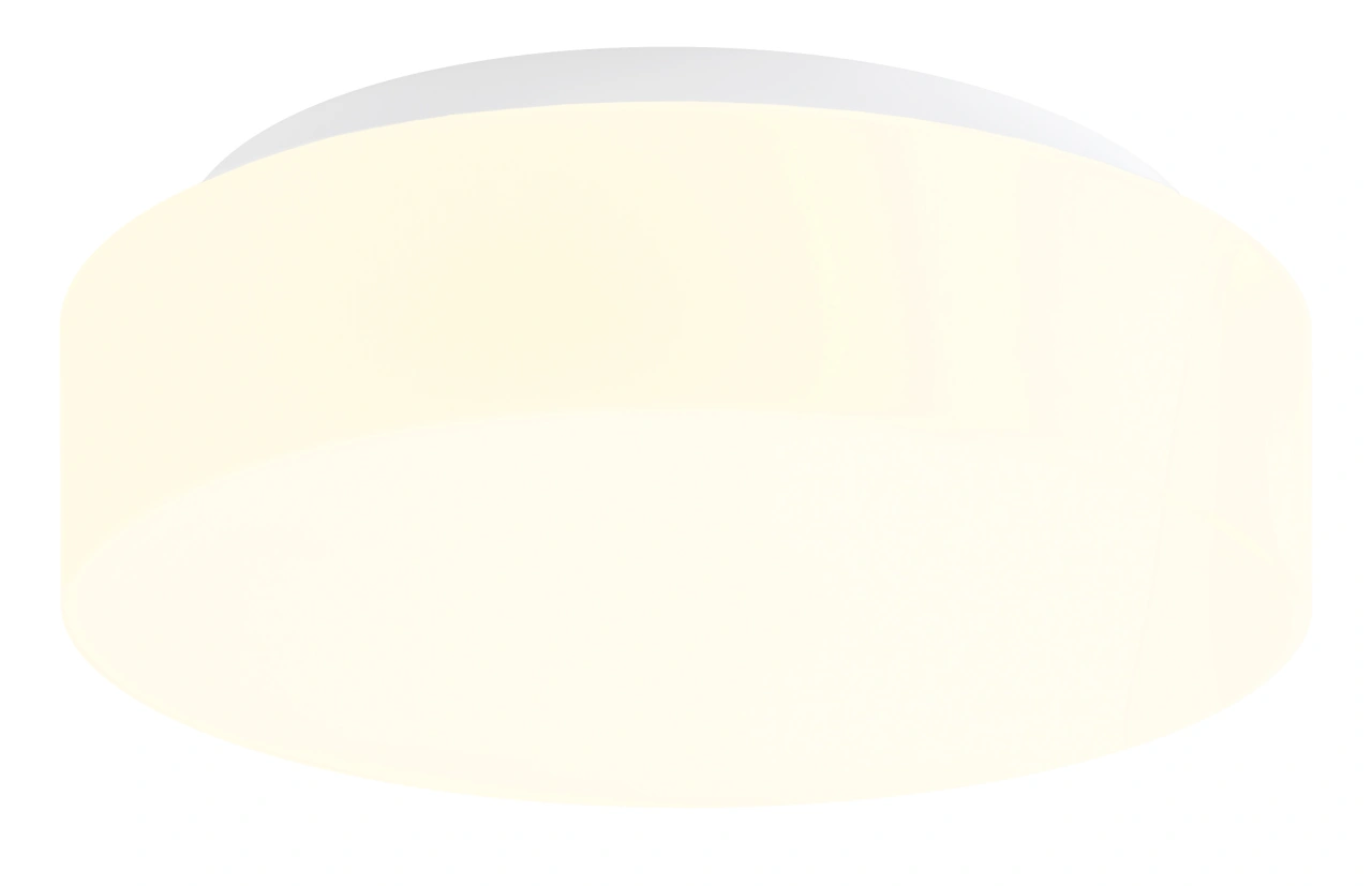 ELSA 2 LED 15W 2030lm 4000K IP44, Wall, ceiling lamps