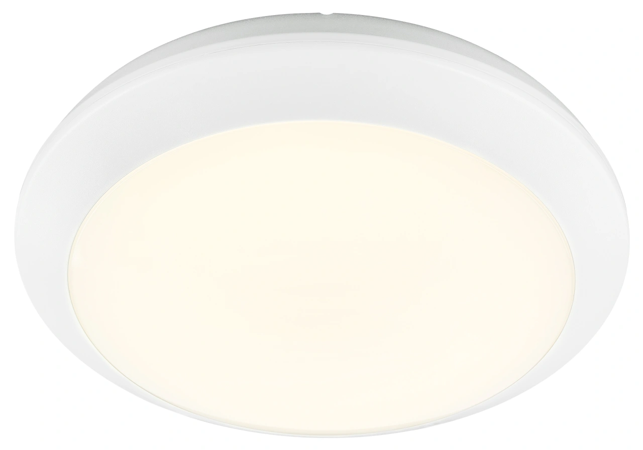 LEILA LED 300 20W 3000/4000K 230V IP65 alb