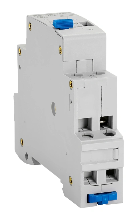 Remote switch, series Amparo, 1 NO, 24VAC_5